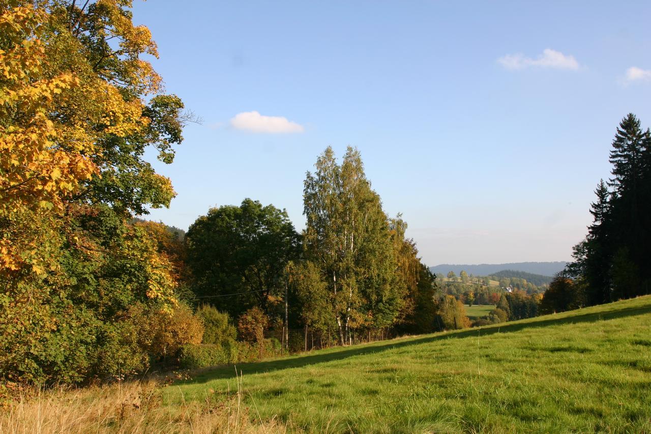 Jeleni Chata Skladanka Lučany nad Nisou Exterior foto