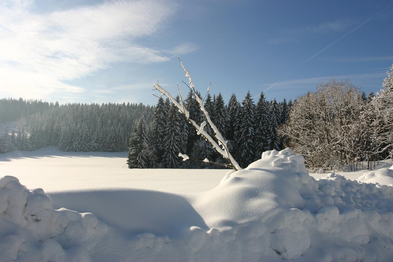 Jeleni Chata Skladanka Lučany nad Nisou Exterior foto